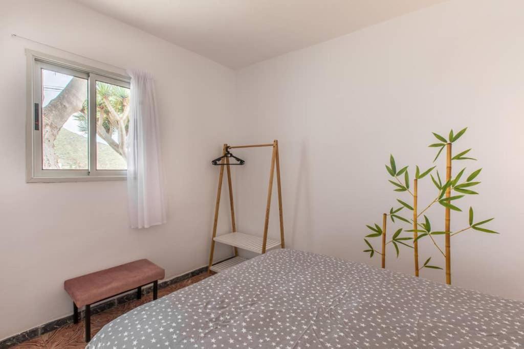 Anaga Experience: Mountain And Beach Retreat 타가나나 외부 사진